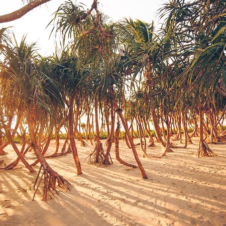 바바 비치 클럽 나타이 럭셔리 풀빌라 호텔 바이 스리 판와  Natai Beach 외부 사진